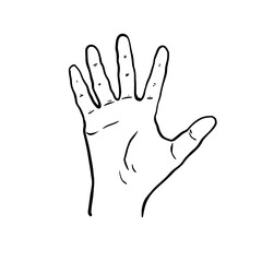 Obraz premium Sketch of sign Hi, Hand with five fingers. Open palm showing number five or Hello gesture. Vector illustration in outline style isolated on white background.