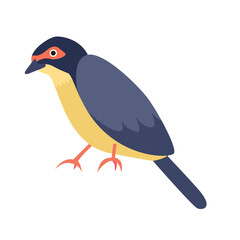bird australian pigbird illustration
