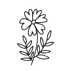 Doodle summer flower illustration. Vector daisy flower doodle