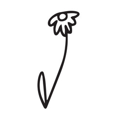 Cute vector doodle flower illustration. Hand drawn little herb isolated