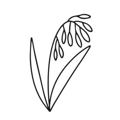 Hand drawn lily of the valley doodle illustration. Doodle lily of the valley flower vector sketch