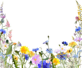 floral background with colorful meadow flowers
