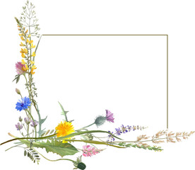 frame with wild flowers and herbs