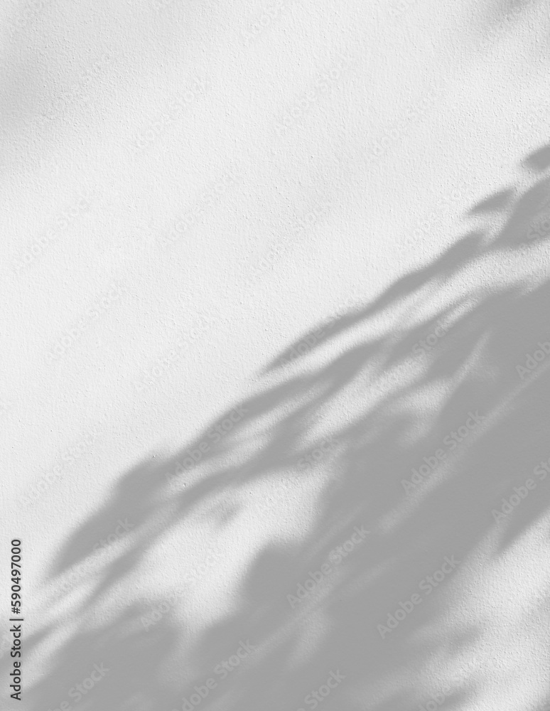 Sticker shadow of the leaves on white concrete wall texture