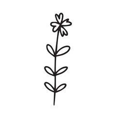 Hand drawn doodle cornflower sketch. Cute flower sketch