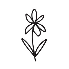 Doodle flower vector illustration. Hand drawn little flower sketch