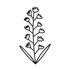 Doodle chamomile vector illustration. Hand drawn wild chamomile sketch