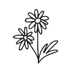 Doodle chamomile vector illustration. Hand drawn wild chamomile sketch