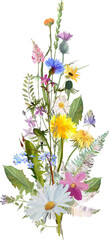 colorful bouquet with wild flowers and herbs