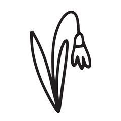 Small summer flower doodle illustration. Hand drawn cornflower doodle isolated