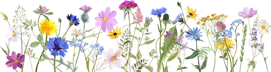 floral border with wild flowers and herbs