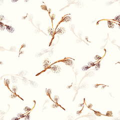 twigs with willow buds. Vector illustration