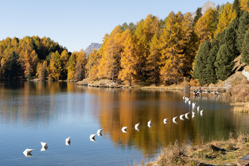 Engadin im Herbst