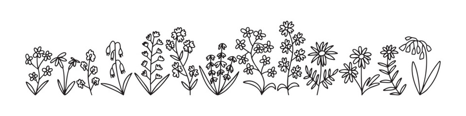 Vector doodle different kinds of flowers and herbs set. Big botanical wild flowers set