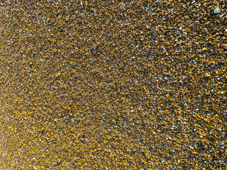 Shingle, sand grains and broken pieces of shell, that make up the sands of many south coats beaches as the sea erodes the materials.