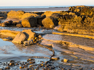 Gradually eroded wave-cut platform of sandstone at Bexhill, East Sussex, England