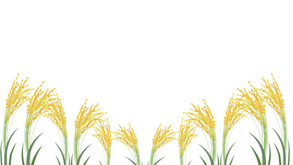 稲穂が並ぶ背景イラスト