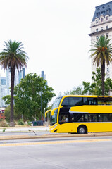 Yellow bus travel in Buenos Aires, one day tour is a sightseeing tour of the city. vertical