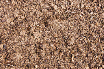Soil texture. Ground background. Earth texture. Sand background. Seed planting sand. Garden closeup pattern.
