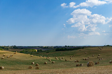 summer in the rural countryside