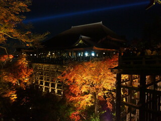 京都清水寺夜景