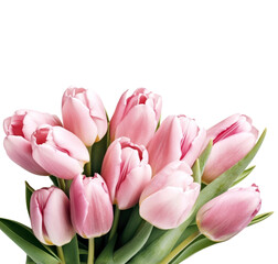 Pink tulips bunch isolated on transparent background. Mothers day, Women' s day. PNG, Generative AI