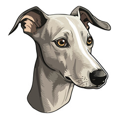 Italian Greyhound Dog Flat Icon Isolated On White Background