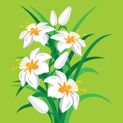 Fototapeta na wymiar Lilie - białe kwiaty na jasnozielonym tle. Biała lilia otoczona zielonymi liśćmi. Bukiet lilii. Kolorowy rysunek wektorowy, ilustracja z kwiatami, kompozycja kwiatowa