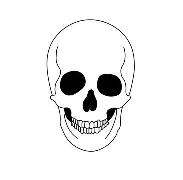 Vector isolated one single simplest smiling skull dead head front view portrait colorless black and white contour line easy drawing