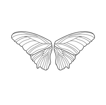 Vector isolated four two pair symmetrical beautiful butterfly wings  with veins veined colorless black and white contour line easy drawing