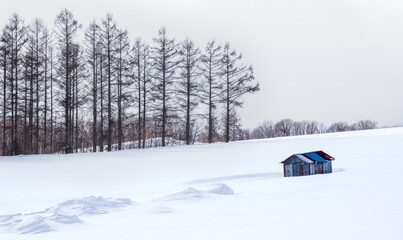 Snow landscape of Biei Hokkaido Japan