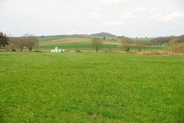 Fototapeta na wymiar Grüne Landschaft Panorama mit Wiese, Bäumen, Berghügel und Himmel am Nachmittag im Frühling