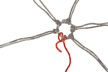 Rustic ropes join together in a knotted ring, one of them in red has a loose end, concept between cohesion, individualism and burnout, isolated on a white background, copy space, isolated on white