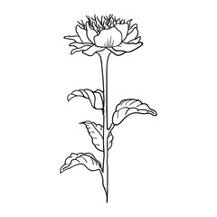 The illustration of flower vector. Suitable for plants and flowers icon, sign or symbol.