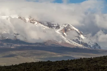 Papier Peint photo autocollant Kilimandjaro Mount Kilimanjaro seen through clouds with foreground bush