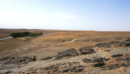 Flat relief of a plain in the steppe