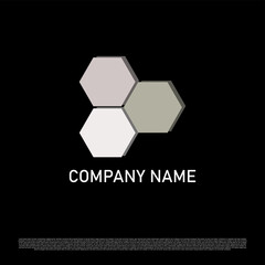 Fototapeta premium Vector logo design hexagonal suitable for your identity company