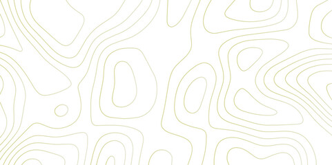 Panorama view gradient multicolor wave curve lines banner background design. Vector illustration. wave Line topography map contour background .Abstract Topographic map background with wave line.