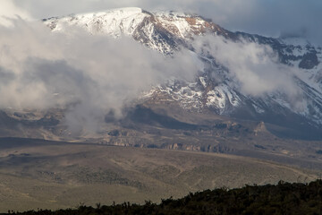 Mount Kilimanjaro seen through clouds with foreground bush