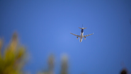 airplane in the sky
