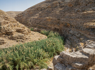 Prat Brook in the Judea Desert, Israel
