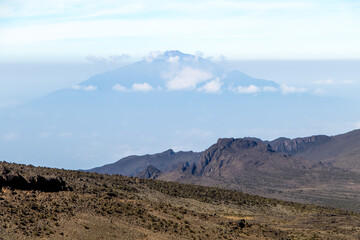 Scenery, native bush and vegetation on the slope of Mount Kilimanjaro