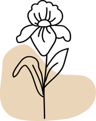 Flower Abstract Organic Shape Minimal