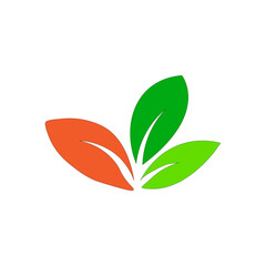 leaf icon design template vector