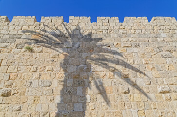 City walls with palm tree shadow in Jerusalem Israel
