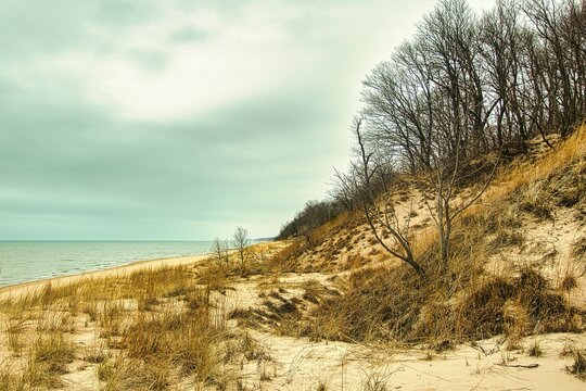 On a cloudy day in early Springtime, the view of Lake Michigan and the sandy dunes at Indiana Dunes State Park, near Chesterton, IN.