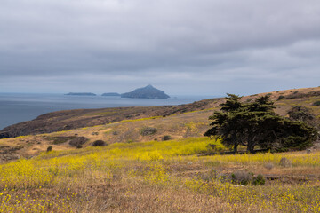 Fototapeta premium Scenic view of coast in California