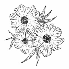 Hand drawn flowers and sketch contour lines and strokes on white backgrounds. Line art, black lines drawing vector.