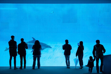 Silhouette tourist people watch dolphin in Nagoya aquarium - Powered by Adobe