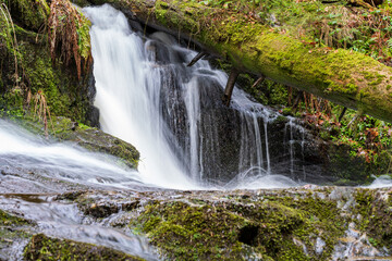 Fototapeta na wymiar Windbergwasserfall im Schwarzwald